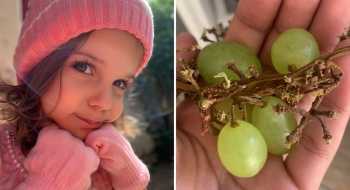 Menina de 3 anos morre após ter série de paradas cardíacas ao se engasgar com uva, em Goiânia